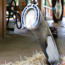 Faca Artesanal Modelo Ferradura Premium - Ideal para Churrasco